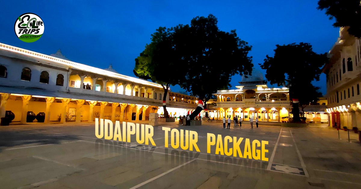 Udaipur tour package 